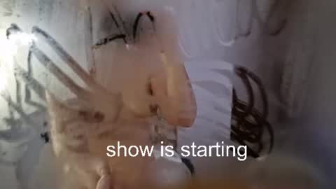 Anna online show from July 18, 1:18 am
