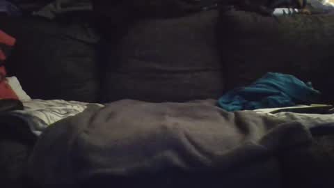 thebird9898 online show from December 2, 8:07 pm