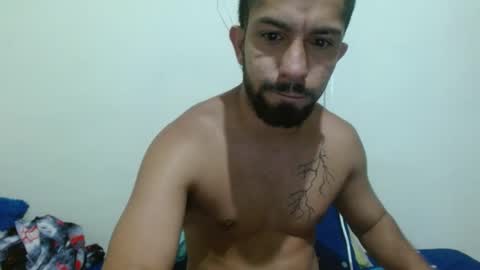 thehousedog online show from November 6, 12:08 pm