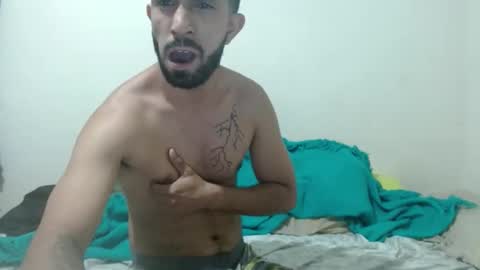 thehousedog online show from February 27, 10:44 am