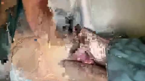 Theo Palm online show from December 2, 1:18 am