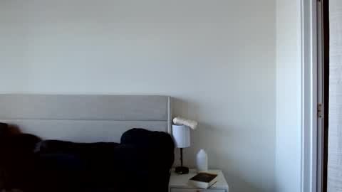 Yoshi online show from November 17, 6:10 pm