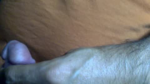 thesash online show from February 28, 9:36 am