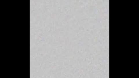 thesash online show from February 26, 6:40 am