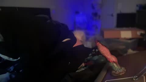 thetwinkytiger online show from February 22, 10:31 pm