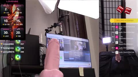 The Willow Fox online show from January 28, 9:08 pm