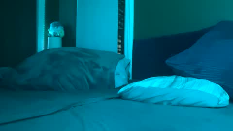 Thick D Bottom online show from May 23, 11:06 am