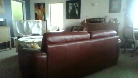 Thickcockat71 online show from November 12, 6:21 pm