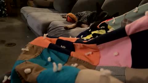 thickdic44 online show from May 23, 4:19 am