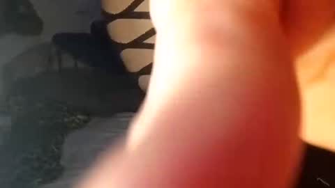 lola...and...thiggy online show from October 27, 4:01 am