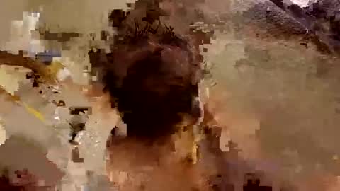 lola...and...thiggy online show from December 16, 11:01 am