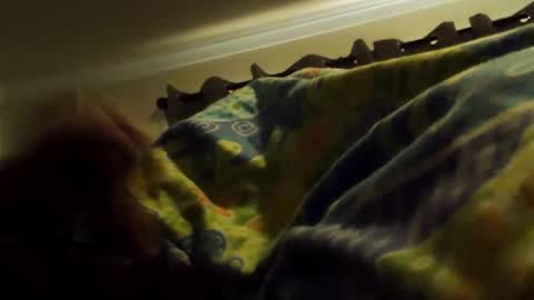 thisbloke96 online show from February 10, 4:37 am