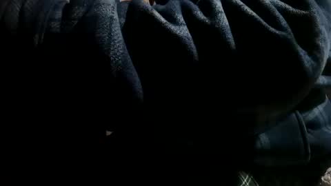 thisdixforyou online show from December 5, 8:16 am