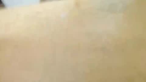 Snapshot of thomas27f chatting on October 24, 10:49 am thomas27f online show from October 24, 10:49 am