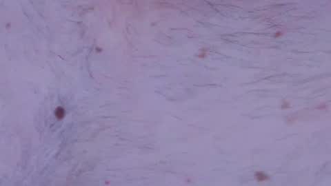 Thongsandstocking online show from January 14, 10:51 pm