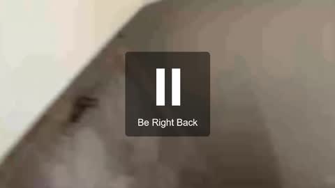 Mary online show from November 2, 9:31 am