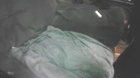 ticklemypickle67 online show from November 14, 5:31 am