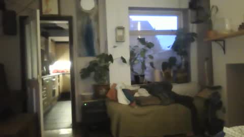 tiddles12345 online show from October 18, 6:28 am