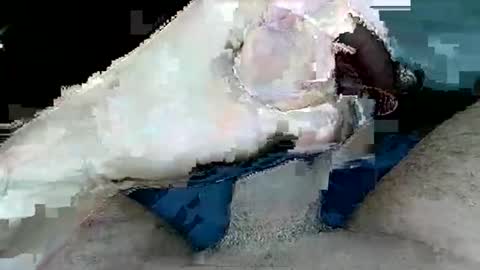 tom4you4all online show from February 13, 1:31 am