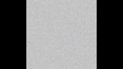 tommy and sophie online show from December 10, 11:19 pm