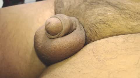 tonyisback2023 online show from February 4, 11:03 am