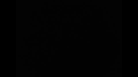 tony online show from March 27, 10:44 pm