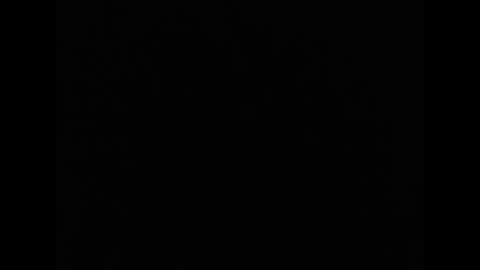 tony online show from April 4, 5:03 am