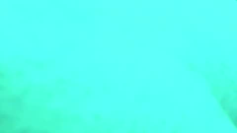 tornne online show from April 30, 2:44 pm