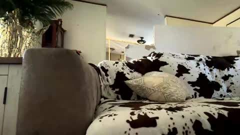 toronto5656 online show from November 14, 2:30 pm