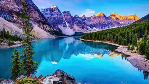 Arti online show from October 24, 8:15 am