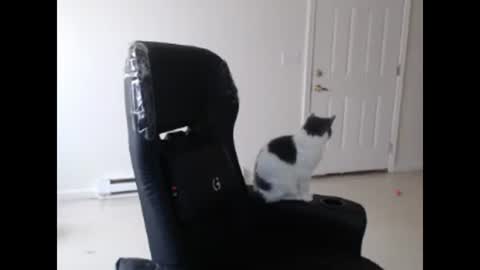 toxikink online show from April 2, 10:06 pm