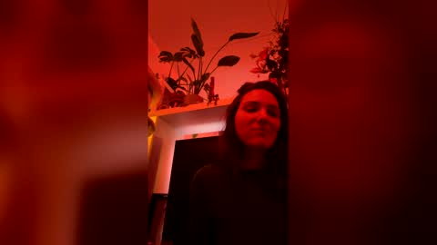 GoToyShop online show from February 19, 9:58 pm