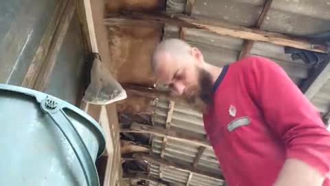 Tralalabala online show from March 5, 12:03 pm