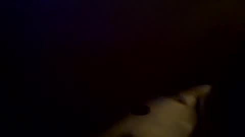 travelbait online show from November 14, 3:42 am