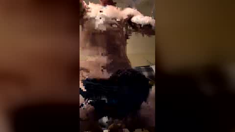 triplevizion online show from February 14, 11:13 am