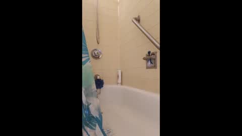 BigclockKock online show from April 2, 11:06 am