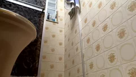 Sofia online show from December 13, 12:09 am