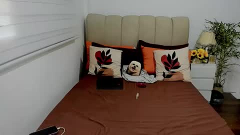 Graciella online show from October 4, 8:01 am