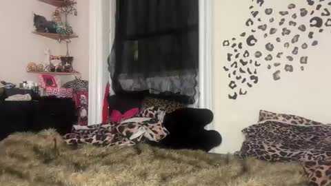 turntpixie online show from March 7, 4:34 am