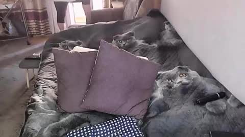 Lana online show from November 16, 2:02 am