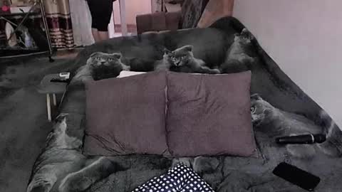 Lana online show from December 5, 2:44 am