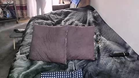 Lana online show from October 3, 3:26 am