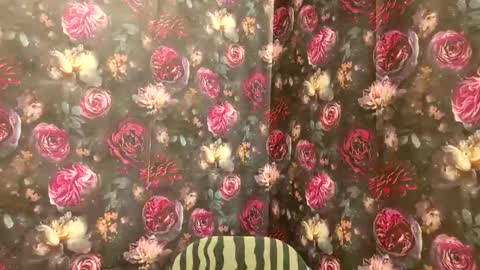 TylerDavid online show from December 20, 7:10 pm