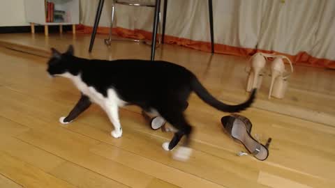 Megan online show from March 1, 6:56 pm