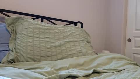 uncutbull541 online show from April 19, 4:52 pm