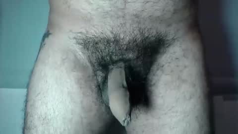 Snapshot of uncuthairydick chatting on October 2, 11:42 am Dylan online show from October 2, 11:42 am