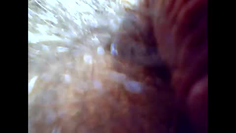 ur_beautyful_ online show from May 4, 2:56 pm