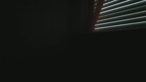 UrbanDicc online show from February 9, 1:35 pm