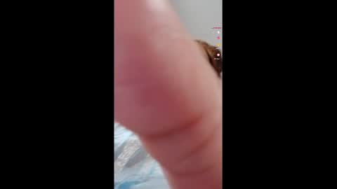 urfaveriri online show from September 20, 1:25 pm