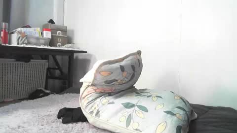 Rbabes online show from February 3, 9:02 am